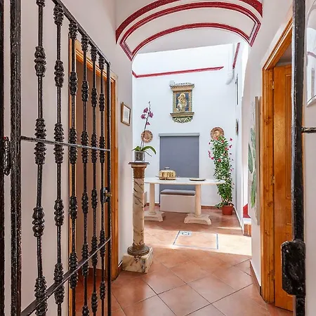 Casa De La Luz -elegante Casco Antiguo 5-hab-11px Appartamento Siviglia